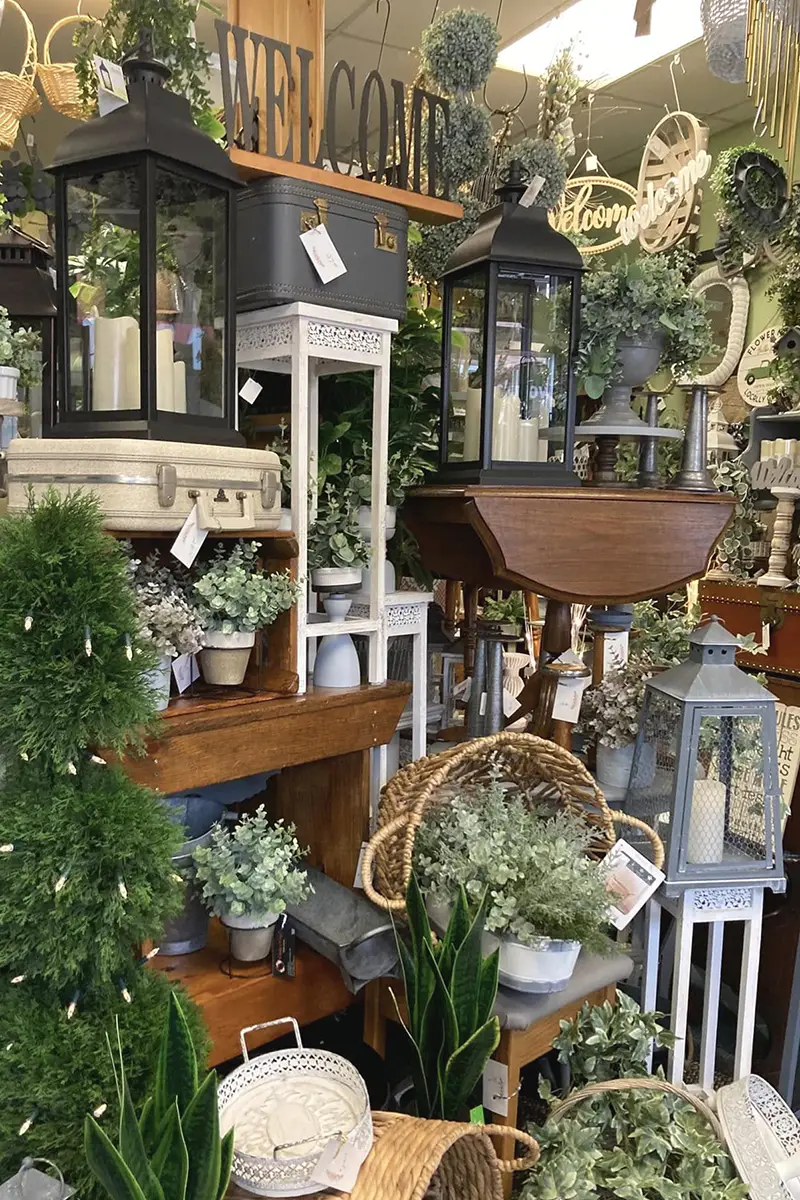 Cathys Craft Lucknow